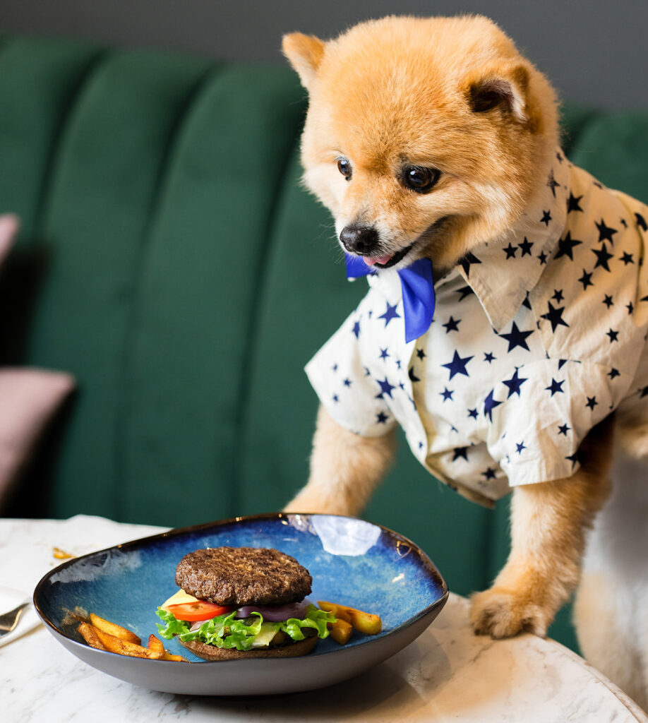 pet dog at restaurant